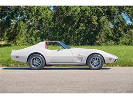1974 Chevrolet Corvette Stingray (CC-1702537) for sale in Winter Garden, Florida