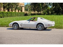 1974 Chevrolet Corvette Stingray (CC-1702537) for sale in Winter Garden, Florida