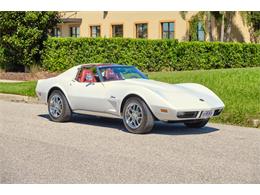1974 Chevrolet Corvette Stingray (CC-1702537) for sale in Winter Garden, Florida