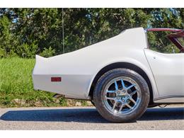 1974 Chevrolet Corvette Stingray (CC-1702537) for sale in Winter Garden, Florida