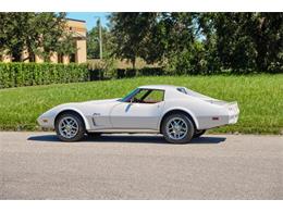 1974 Chevrolet Corvette Stingray (CC-1702537) for sale in Winter Garden, Florida