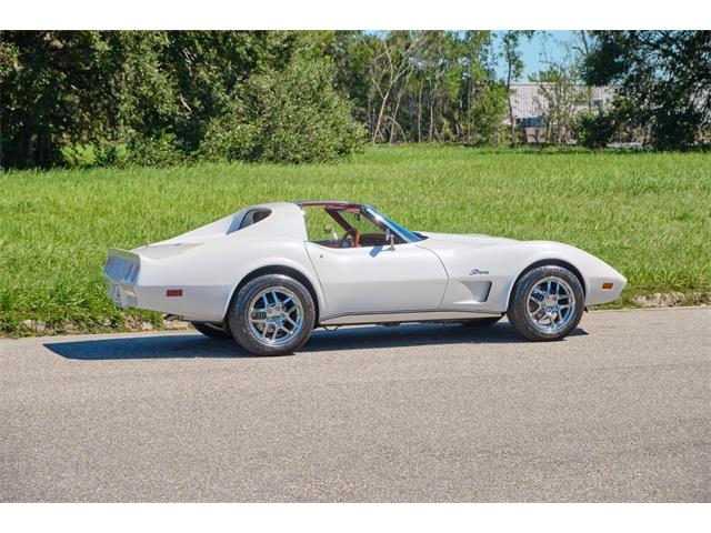1974 Chevrolet Corvette Stingray (CC-1702537) for sale in Winter Garden, Florida