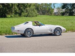 1974 Chevrolet Corvette Stingray (CC-1702537) for sale in Winter Garden, Florida