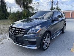 2015 Mercedes-Benz M-Class (CC-1703469) for sale in Pompano Beach, Florida