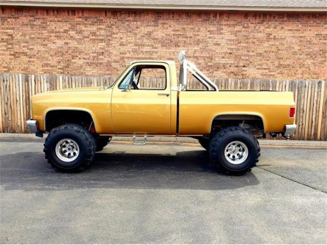 1984 Chevrolet C10 (CC-1703721) for sale in Cadillac, Michigan