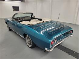 1965 Chevrolet Corvair (CC-1703812) for sale in Greensboro, North Carolina