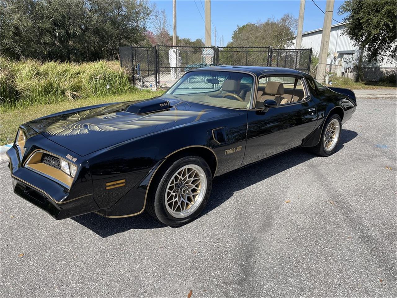 1978 Pontiac Firebird Trans Am for Sale | ClassicCars.com | CC-1703878