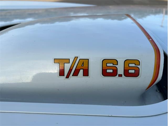 1977 Pontiac Can Am (CC-1704191) for sale in Greensboro, North Carolina