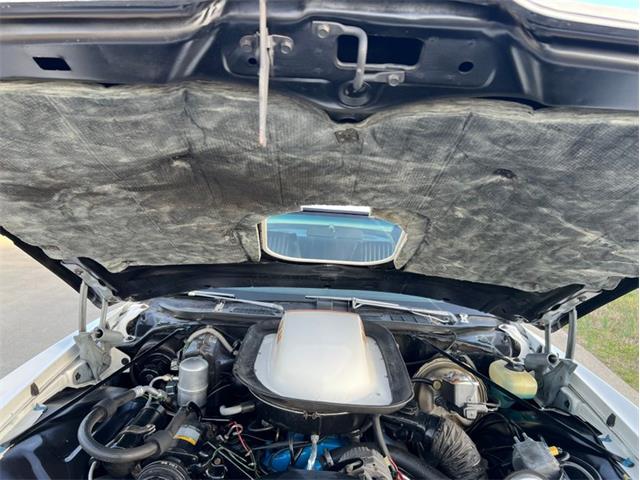 1977 Pontiac Can Am (CC-1704191) for sale in Greensboro, North Carolina