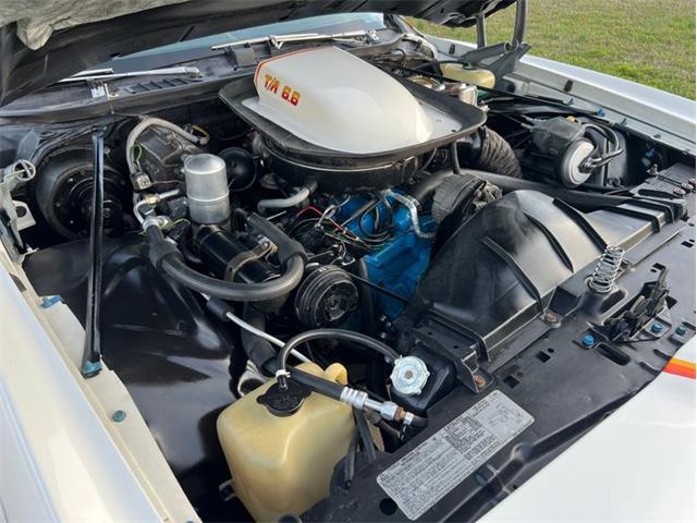 1977 Pontiac Can Am (CC-1704191) for sale in Greensboro, North Carolina