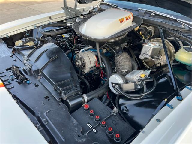 1977 Pontiac Can Am (CC-1704191) for sale in Greensboro, North Carolina