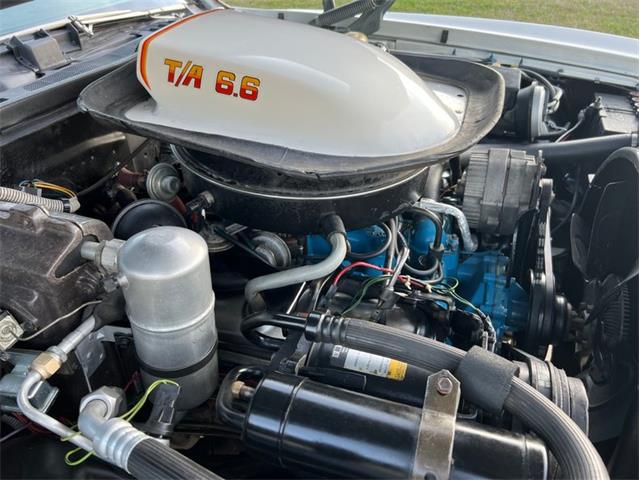 1977 Pontiac Can Am (CC-1704191) for sale in Greensboro, North Carolina