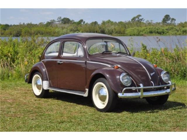 1969 Volkswagen Beetle (CC-1704295) for sale in Miami, Florida