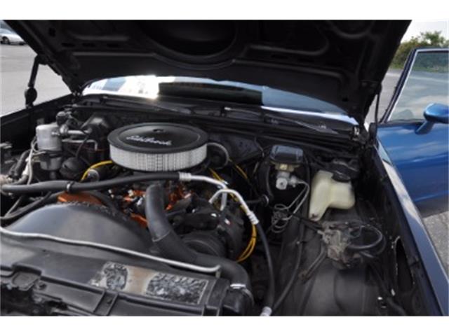1983 Chevrolet Malibu (CC-1704297) for sale in Miami, Florida