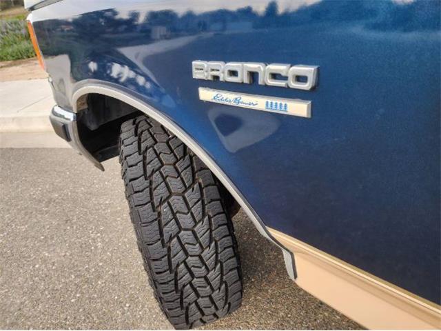 1987 Ford Bronco (CC-1706088) for sale in Cadillac, Michigan