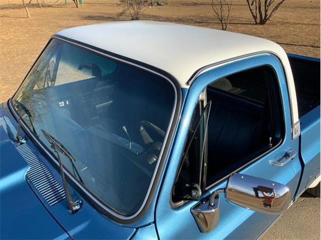 1982 Chevrolet C/K 10 (CC-1706106) for sale in Fredericksburg, Texas