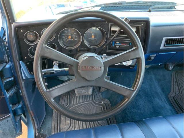 1982 Chevrolet C/K 10 (CC-1706106) for sale in Fredericksburg, Texas