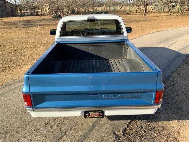 1982 Chevrolet C/K 10 (CC-1706106) for sale in Fredericksburg, Texas