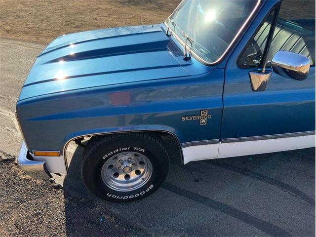 1982 Chevrolet C/K 10 (CC-1706106) for sale in Fredericksburg, Texas
