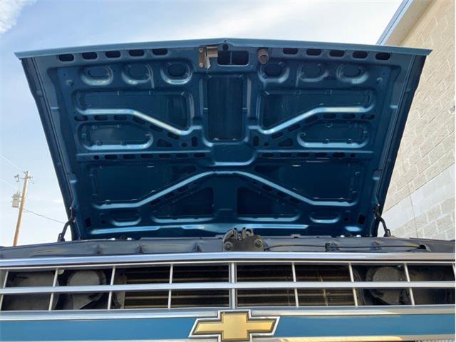 1982 Chevrolet C/K 10 (CC-1706106) for sale in Fredericksburg, Texas