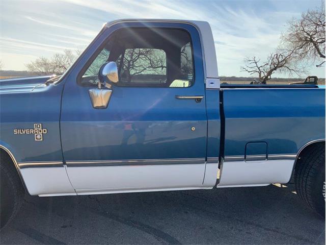 1982 Chevrolet C/K 10 (CC-1706106) for sale in Fredericksburg, Texas