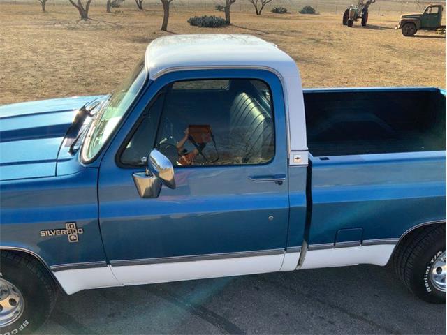 1982 Chevrolet C/K 10 (CC-1706106) for sale in Fredericksburg, Texas