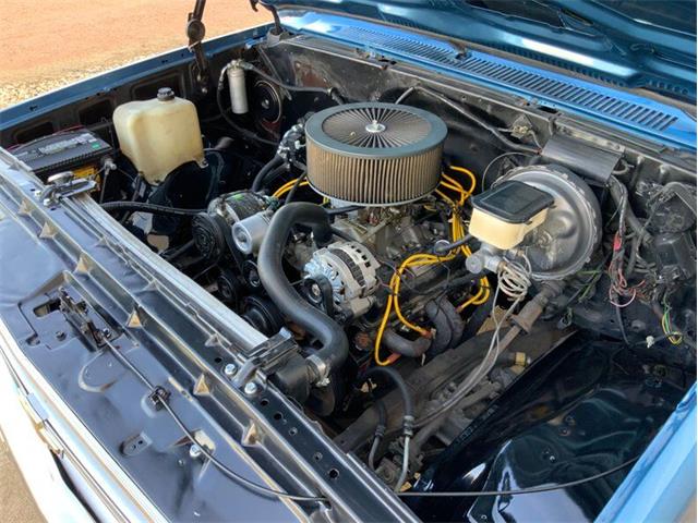 1982 Chevrolet C/K 10 (CC-1706106) for sale in Fredericksburg, Texas