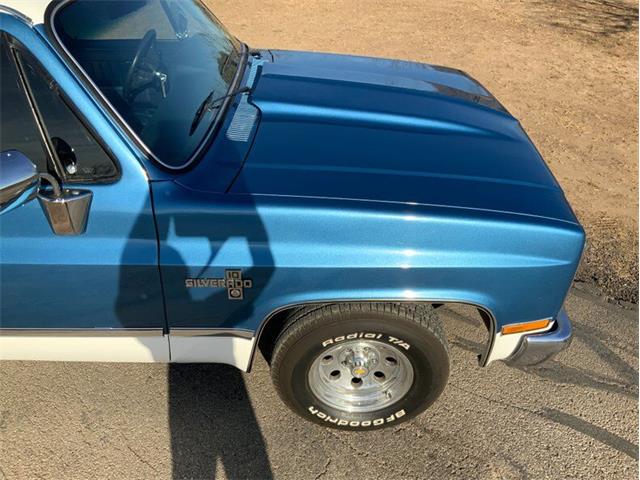 1982 Chevrolet C/K 10 (CC-1706106) for sale in Fredericksburg, Texas