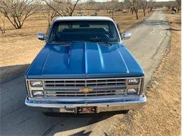 1982 Chevrolet C/K 10 (CC-1706106) for sale in Fredericksburg, Texas