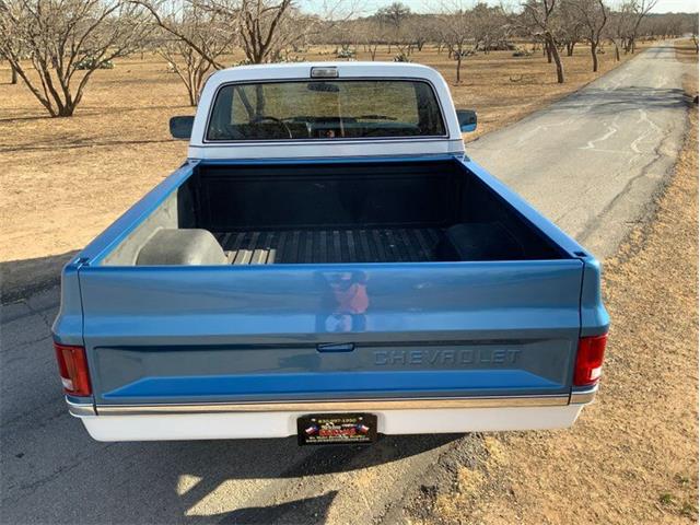 1982 Chevrolet C/K 10 (CC-1706106) for sale in Fredericksburg, Texas