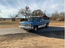 1982 Chevrolet C/K 10 (CC-1706106) for sale in Fredericksburg, Texas