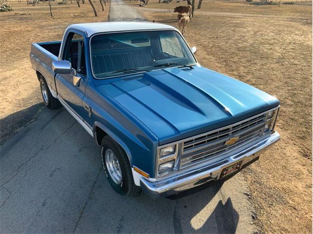 1982 Chevrolet C/K 10 (CC-1706106) for sale in Fredericksburg, Texas
