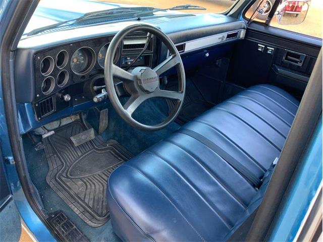 1982 Chevrolet C/K 10 (CC-1706106) for sale in Fredericksburg, Texas