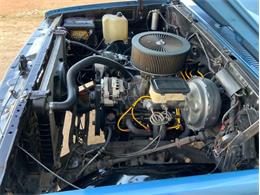 1982 Chevrolet C/K 10 (CC-1706106) for sale in Fredericksburg, Texas