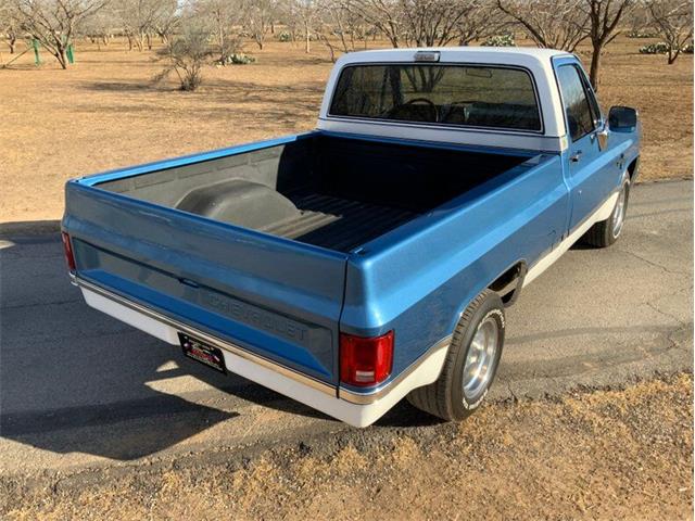 1982 Chevrolet C/K 10 (CC-1706106) for sale in Fredericksburg, Texas