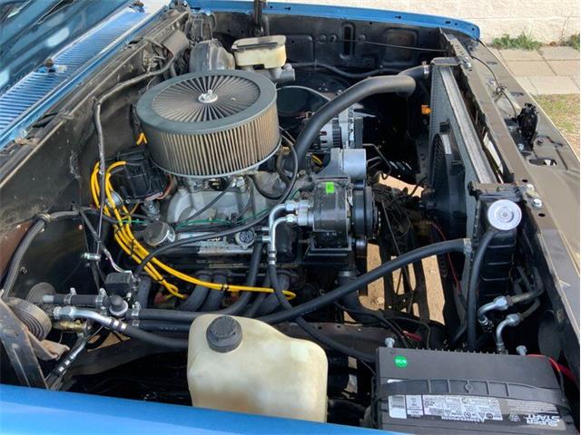 1982 Chevrolet C/K 10 (CC-1706106) for sale in Fredericksburg, Texas