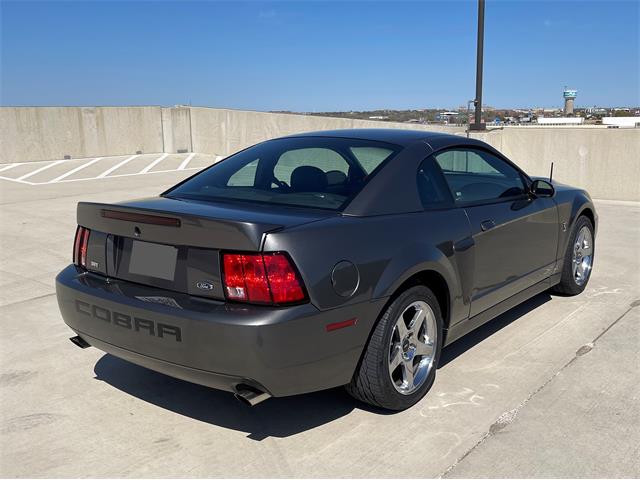 2003 Ford Mustang Cobra (CC-1706214) for sale in Rowlett, Texas