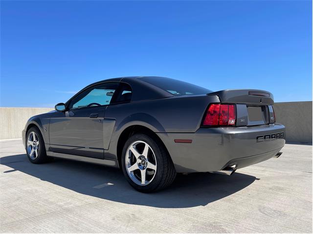 2003 Ford Mustang Cobra (CC-1706214) for sale in Rowlett, Texas