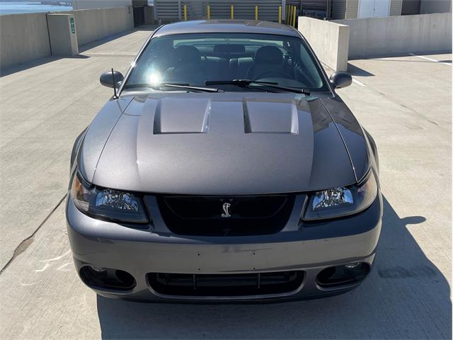 2003 Ford Mustang Cobra (CC-1706214) for sale in Rowlett, Texas
