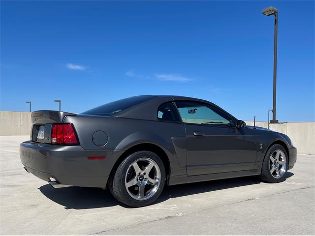 2003 Ford Mustang Cobra (CC-1706214) for sale in Rowlett, Texas