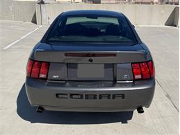 2003 Ford Mustang Cobra (CC-1706214) for sale in Rowlett, Texas