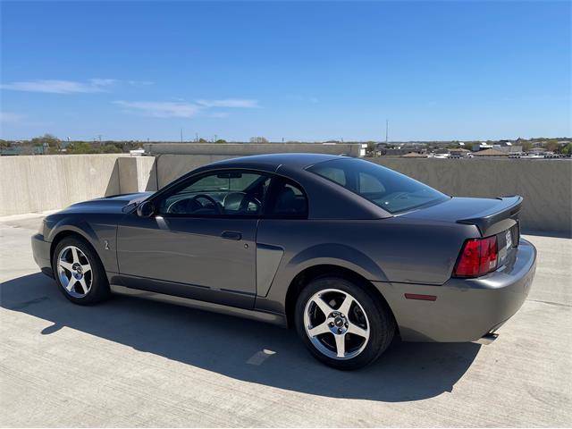 2003 Ford Mustang Cobra (CC-1706214) for sale in Rowlett, Texas