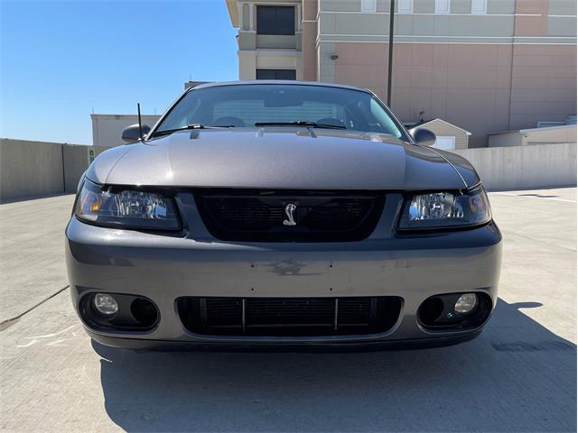 2003 Ford Mustang Cobra (CC-1706214) for sale in Rowlett, Texas