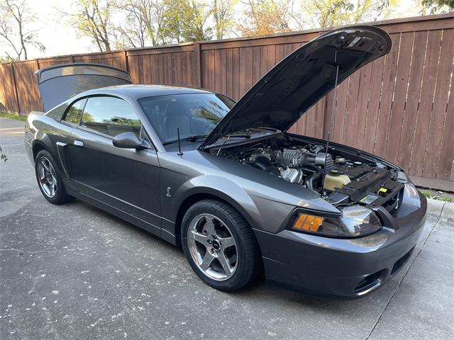 2003 Ford Mustang Cobra (CC-1706214) for sale in Rowlett, Texas