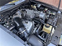 2003 Ford Mustang Cobra (CC-1706214) for sale in Rowlett, Texas