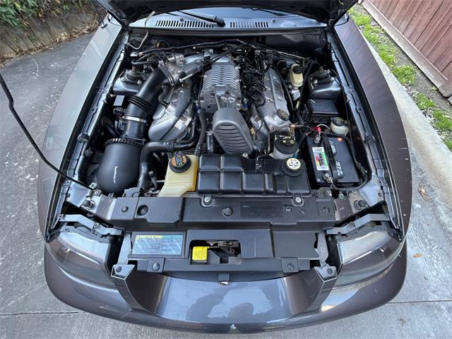 2003 Ford Mustang Cobra (CC-1706214) for sale in Rowlett, Texas