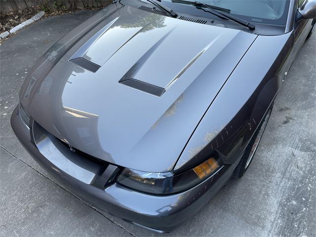 2003 Ford Mustang Cobra (CC-1706214) for sale in Rowlett, Texas