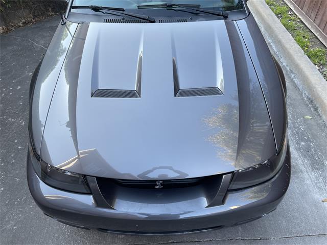 2003 Ford Mustang Cobra (CC-1706214) for sale in Rowlett, Texas