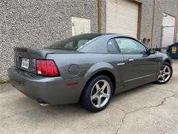 2003 Ford Mustang Cobra (CC-1706214) for sale in Rowlett, Texas