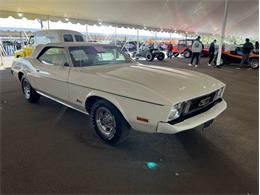 1973 Ford Mustang (CC-1700674) for sale in Orlando, Florida